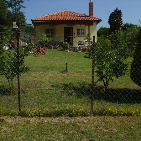 ネア・ローダ Xerxis Hill/Chalkidiki Τρυπητή Χαλκιδικήςヴィラ エクステリア 写真